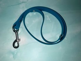 BioThane Dog Lead