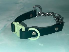 Martingale Collar